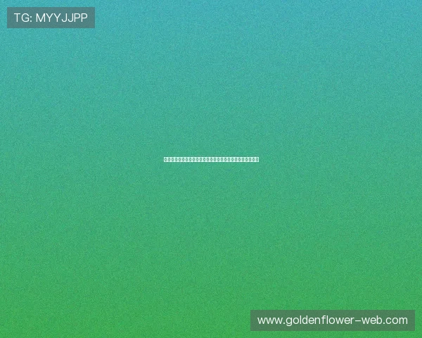 巴西门将的崛起与挑战如何影响国家队未来发展与世界杯前景